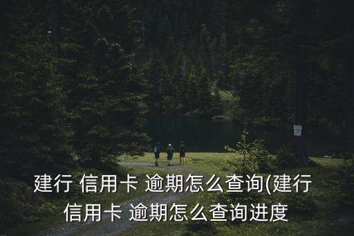 建行 信用卡 逾期怎么查询(建行 信用卡 逾期怎么查询进度