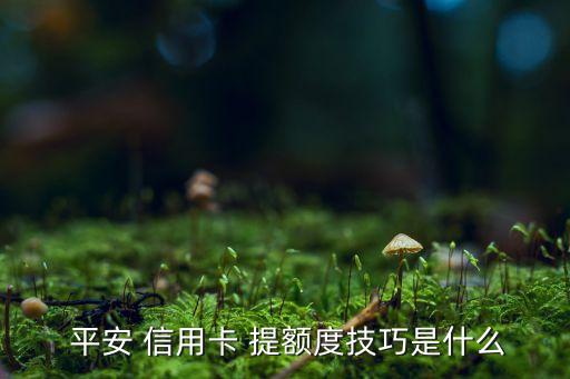  平安 信用卡 提额度技巧是什么