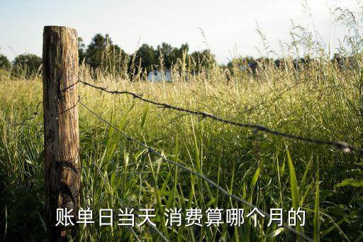 账单日当天 消费算哪个月的