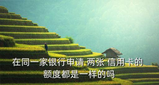 我有两张招商信用卡额度吗