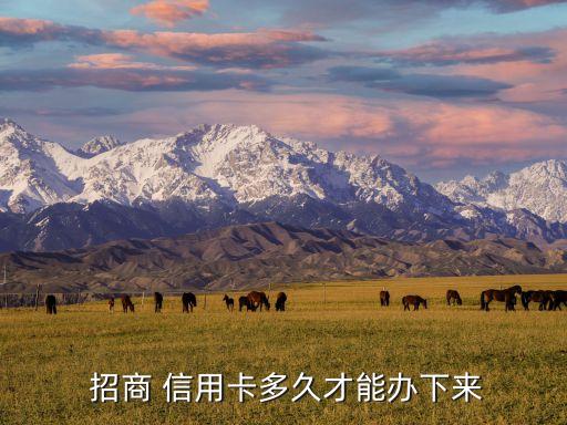  招商 信用卡多久才能办下来