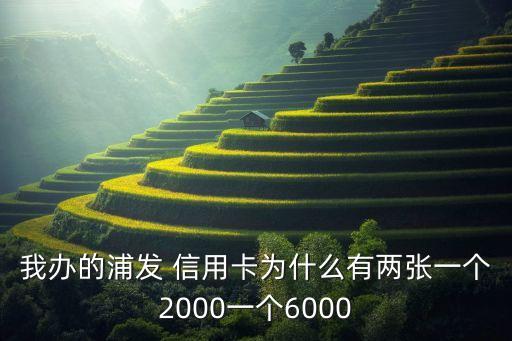 我办的浦发 信用卡为什么有两张一个2000一个6000