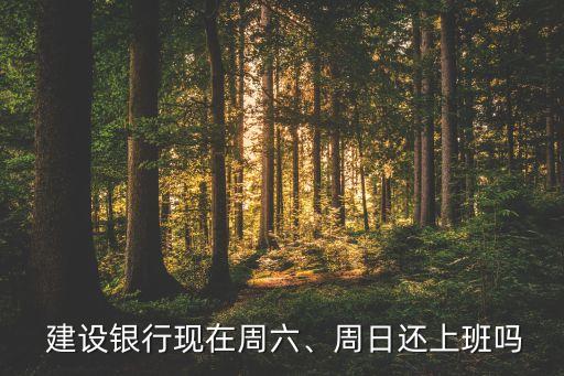  建设银行现在周六、周日还上班吗