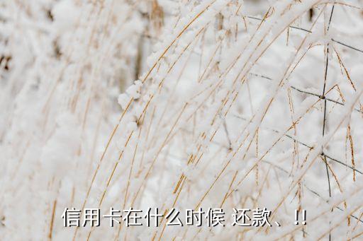 信用卡还款日说说