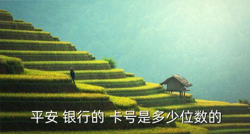  平安 银行的 卡号是多少位数的