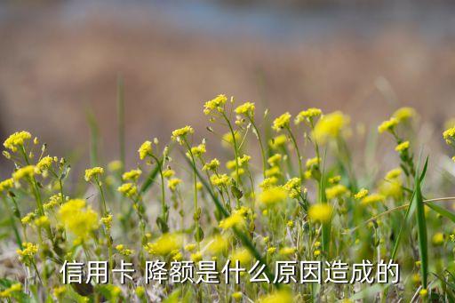  信用卡 降额是什么原因造成的