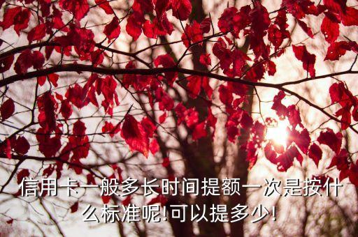  信用卡一般多长时间提额一次是按什么标准呢!可以提多少!