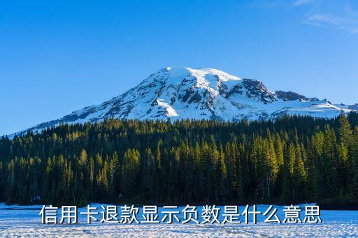 信用卡退款显示负数是什么意思