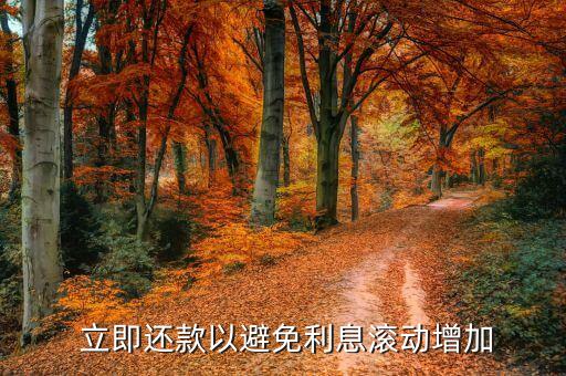 立即还款以避免利息滚动增加