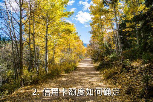 信用卡的额度怎么写，信用卡额度如何确定