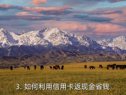 信用卡返现金，信用卡现金返利，如何轻松省钱？