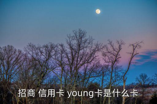招商银行信用卡young校园版