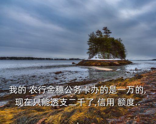我的 农行金穗公务卡办的是一万的,现在只能透支二千了,信用 额度...