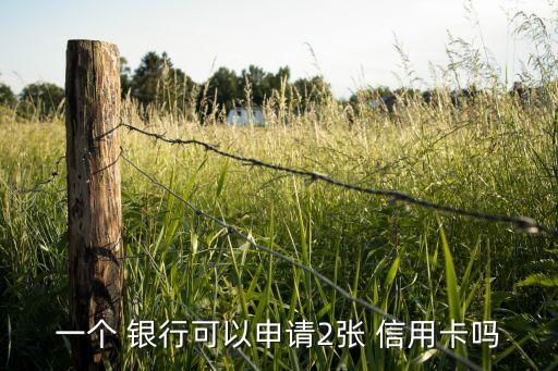注册同一银行信用卡,一家银行信用卡被拒可以再申请