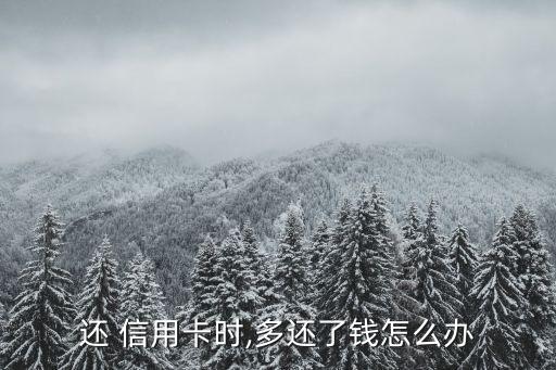 信用卡还款多还了怎么还
