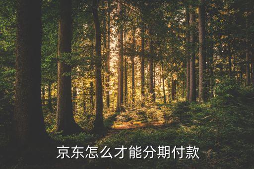  京东怎么才能分期付款