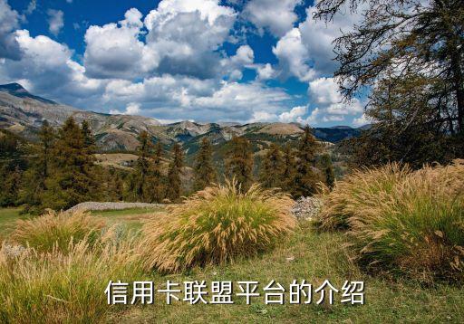 信用卡联盟平台的介绍