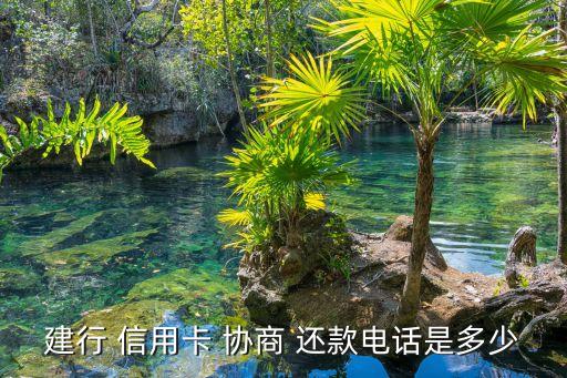 建行 信用卡 协商 还款电话是多少