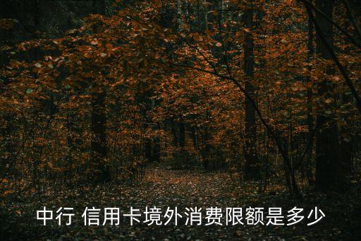 中行 信用卡境外消费限额是多少