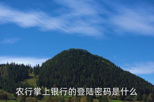 农行掌上银行的登陆密码是什么