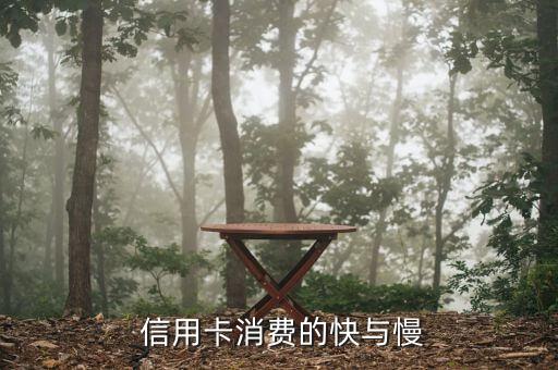 信用卡消费的快与慢