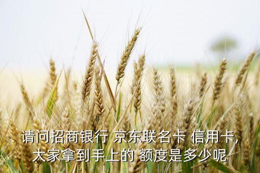 请问招商银行 京东联名卡 信用卡,大家拿到手上的 额度是多少呢