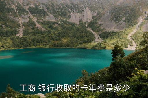  工商 银行收取的卡年费是多少