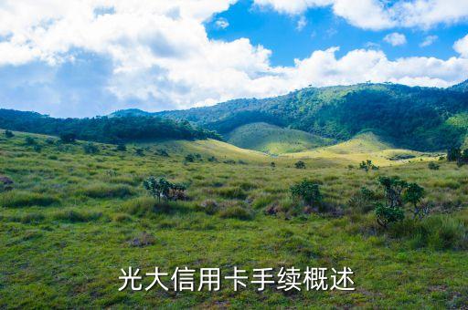 光大信用卡手续概述