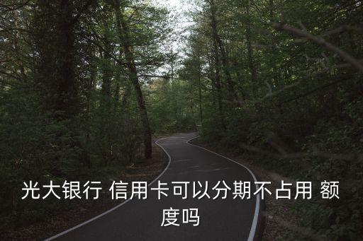 光大银行 信用卡可以分期不占用 额度吗