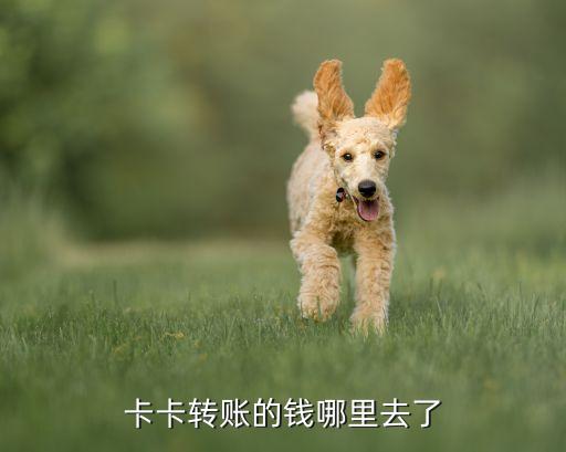 卡卡转账的钱哪里去了