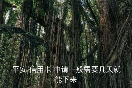  平安 信用卡 申请一般需要几天就能下来