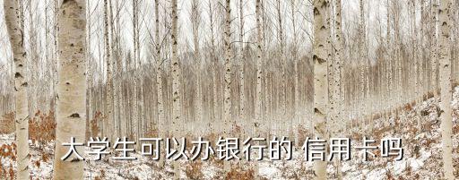  大学生可以办银行的 信用卡吗
