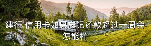 建行 信用卡如果忘记还款超过一周会怎能样