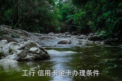 工行 信用卡金卡办理条件