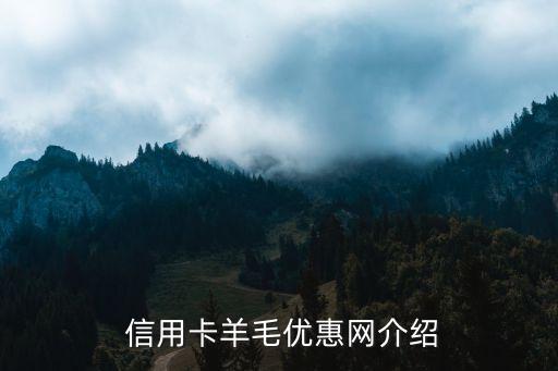 信用卡羊毛优惠网介绍