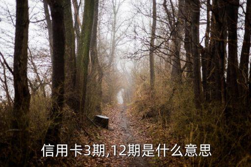  信用卡3期,12期是什么意思