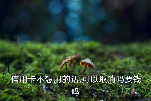  信用卡不想用的话,可以取消吗要钱吗