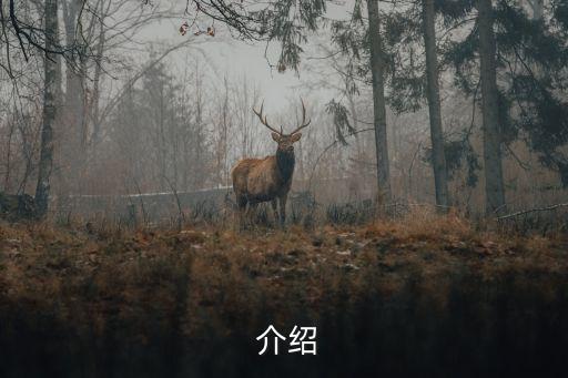 介绍