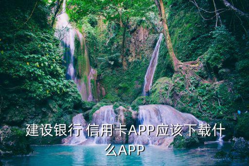 建设银行信用卡的App是啥