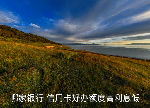 哪家银行 信用卡好办额度高利息低