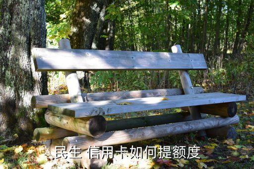 民生 信用卡如何提额度