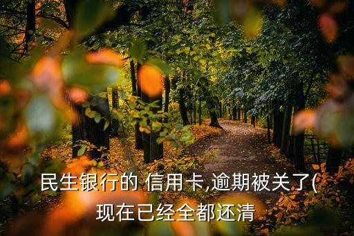 民生银行信用卡停
