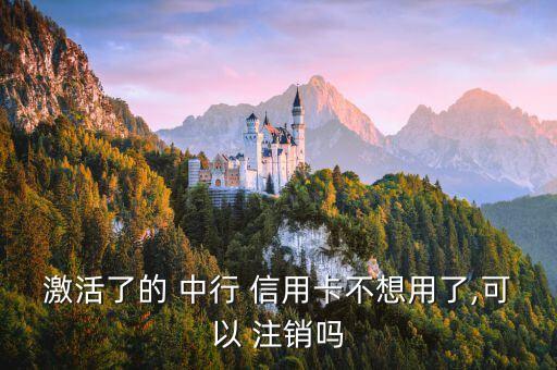 激活了的 中行 信用卡不想用了,可以 注销吗