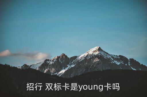 双标银行信用卡