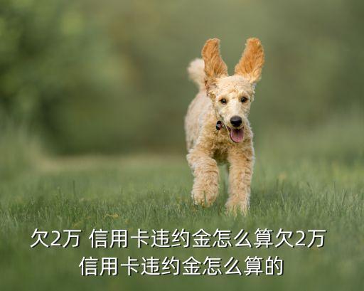 欠2万 信用卡违约金怎么算欠2万 信用卡违约金怎么算的