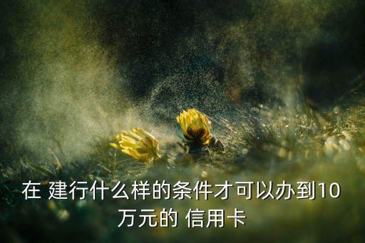 在 建行什么样的条件才可以办到10万元的 信用卡