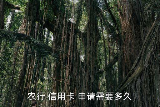农行 信用卡 申请需要多久
