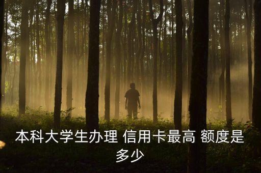 本科大学生办理 信用卡最高 额度是多少