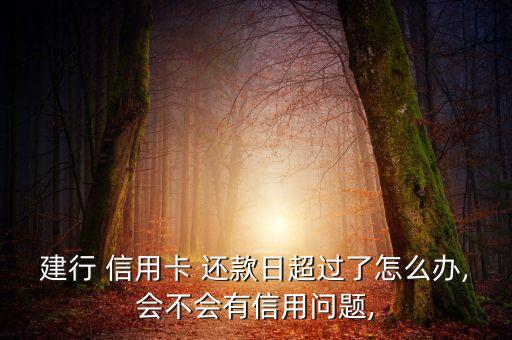 信用卡过了还款日能还款吗