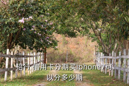 招行 信用卡分期买iphone7可以分多少期
